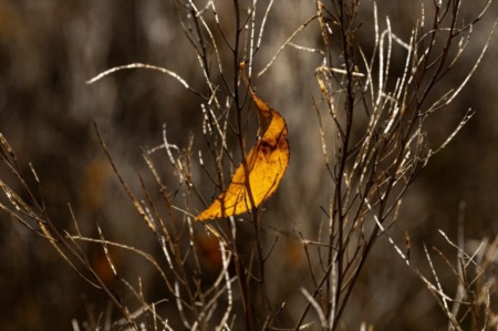 Seasonal Home Transitions: How Homeowners Can Prepare for On-the-Move Lifestyles